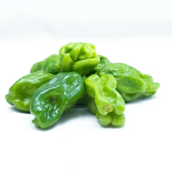 PIMENT VERT 250G | Comercoo